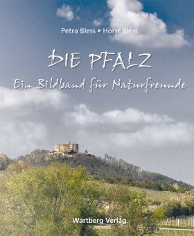 Die Pfalz.